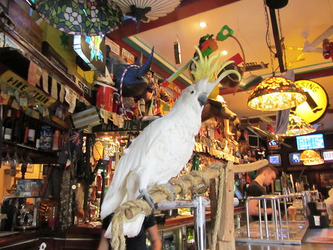 A Friend In Hand - Mackay Tourism 0