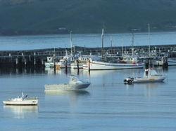 Apollo Bay VIC Mackay Tourism