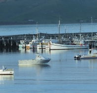 The Apollo Bay Hotel - Mackay Tourism