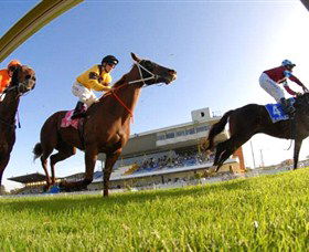 Wyong Race Club - Mackay Tourism 0