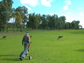 Boston SA Mackay Tourism