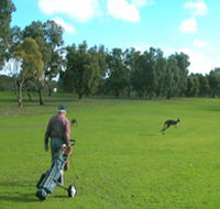 Coffin Bay Golf Club - Mackay Tourism