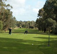 Mount Gambier Golf Club - Mackay Tourism