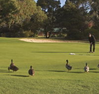 Royal Hobart Golf Club - Mackay Tourism