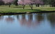 RMC Golf Club - thumb 0