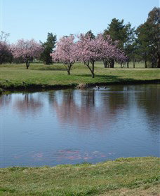 RMC Golf Club - Mackay Tourism 0