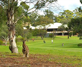 Merimbula NSW Mackay Tourism