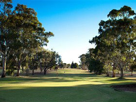 Loxton Golf Club - Mackay Tourism 0