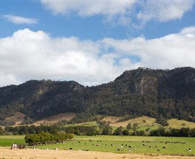 Wards River NSW Mackay Tourism