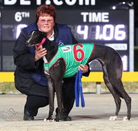 Bulli Greyhound Racing Club - Mackay Tourism