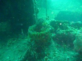 Wallaroo Scuba Club - Mackay Tourism 0