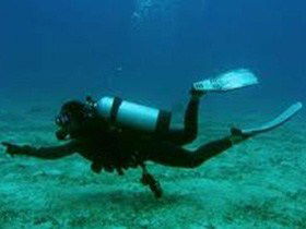 Wallaroo Scuba Club - Mackay Tourism 1