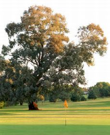 Cowra Golf Club - Mackay Tourism 0