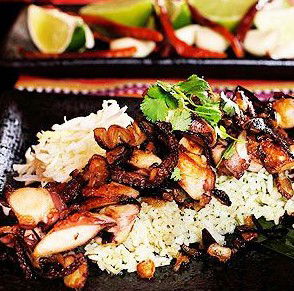 Agave Restaurante Mexicano - Mackay Tourism 4