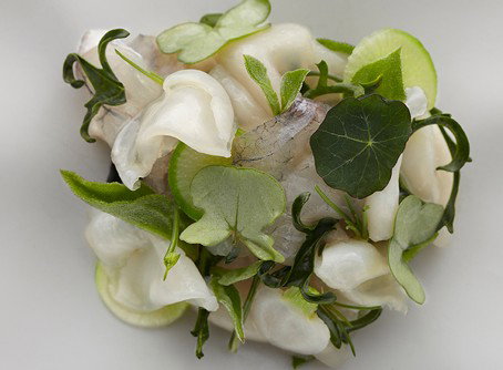 Quay - Mackay Tourism 1