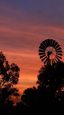 Emerald Springs Roadhouse - Mackay Tourism 5