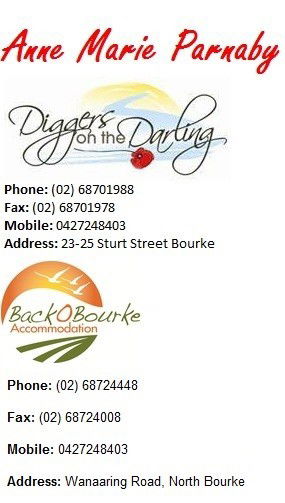 Back O' Bourke Motel - Mackay Tourism 7