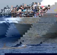 MoonshadowTQC Cruises - Mackay Tourism