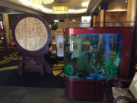 Dragon Palace - Mackay Tourism 4