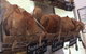 Harvest Breads Cafe - thumb 0