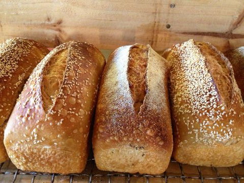 Blackbird Artisan Bakery - Mackay Tourism 0