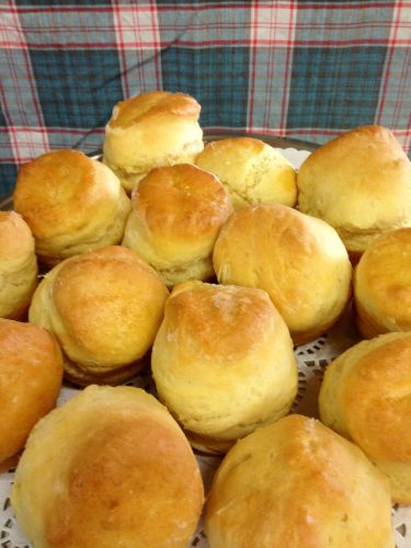 Blackbird Artisan Bakery - Mackay Tourism 3