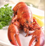 Il Piatto Restaurant - Mackay Tourism 1