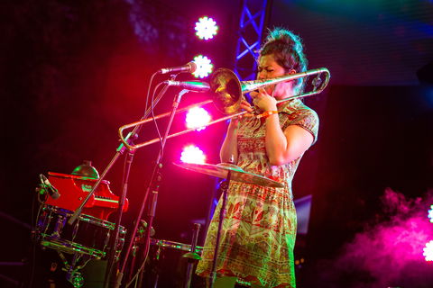 Agnes Blues, Roots And Rock Festival - Mackay Tourism 2