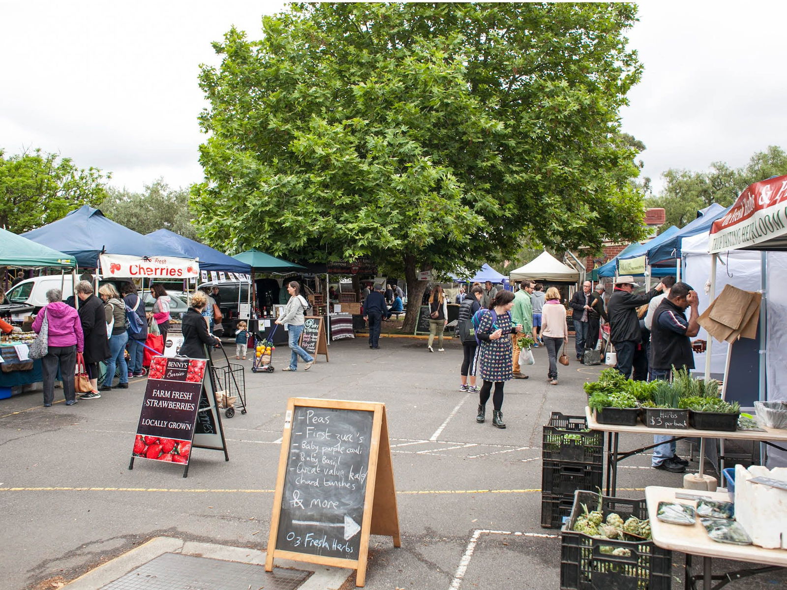 Alphington VIC Mackay Tourism