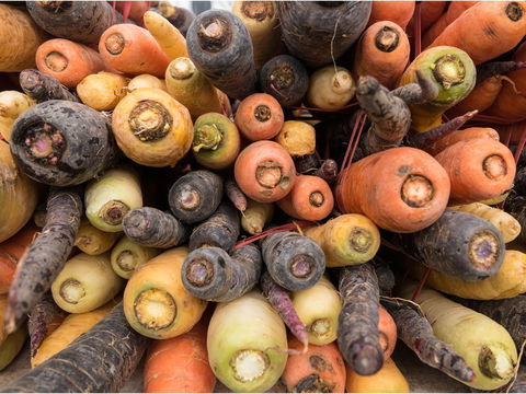 Alphington Farmers' Market - Mackay Tourism 2