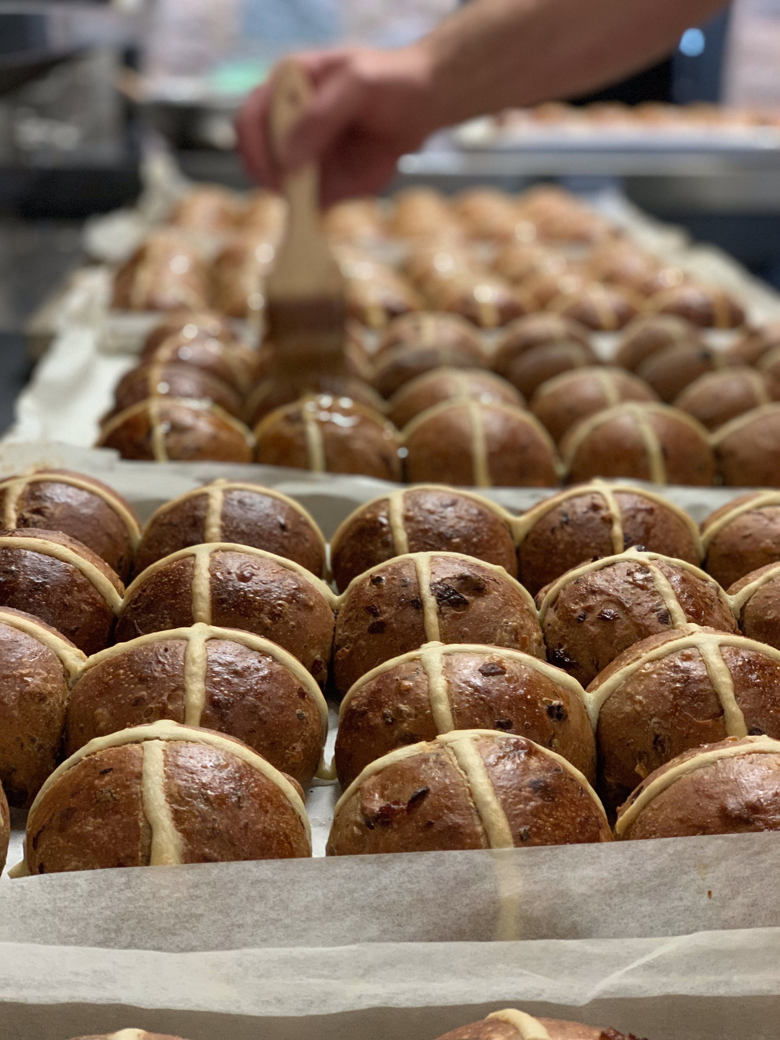 Cooneys Creek NSW Mackay Tourism