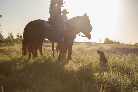 Balonne Cutting Horse Futurity - Mackay Tourism 0