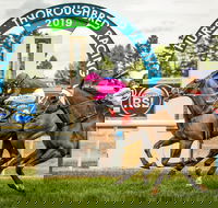 Bathurst Cup - Mackay Tourism