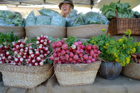 Berry Farmers' Market - Mackay Tourism 0