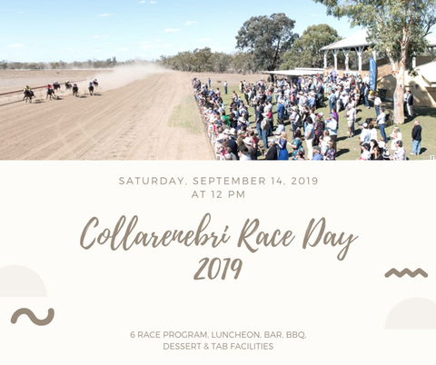 Collarenebri Races - Mackay Tourism 0