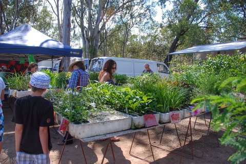 Fernvale Country Markets - Mackay Tourism 1