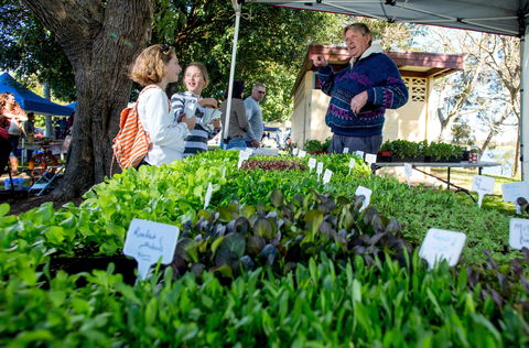 Gladstone Quality Markets - Mackay Tourism 2