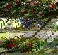 Griffith Spring Fest - Mackay Tourism