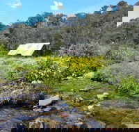 Hedonistic Hiking's Falls Creek to Hotham - Mackay Tourism