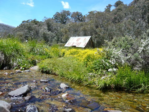 Hedonistic Hiking's Falls Creek To Hotham - Mackay Tourism 0