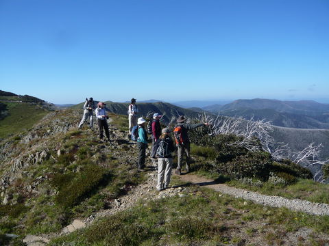 Hedonistic Hiking's Falls Creek To Hotham - Mackay Tourism 1