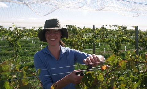 Kingsdale Wines - Cellar Door Wine Tastings - Mackay Tourism 0
