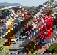 Lovedale Long Lunch - Mackay Tourism