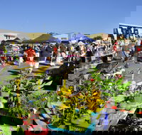 Maclean Community Monthly Markets - Mackay Tourism
