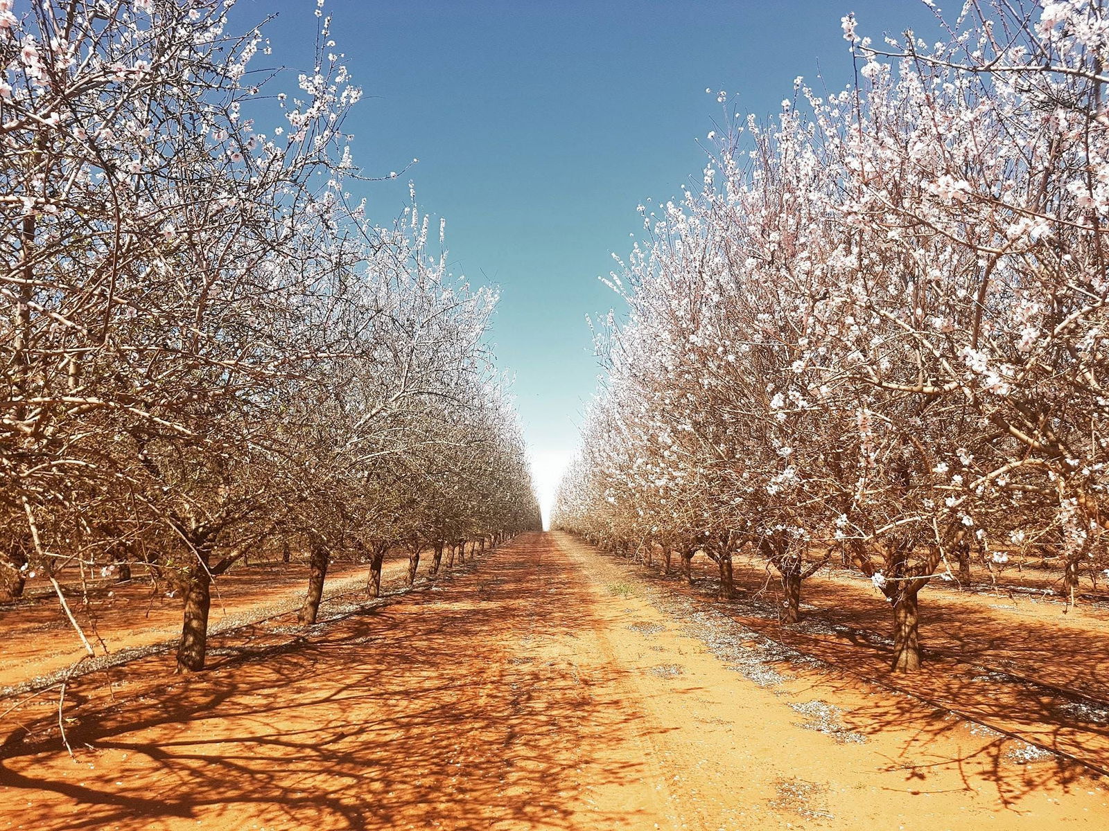 Robinvale VIC Mackay Tourism