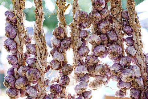 Meeniyan Garlic Festival - Mackay Tourism 0