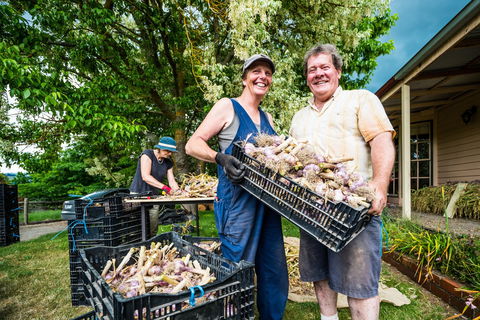 Meeniyan Garlic Festival - Mackay Tourism 2