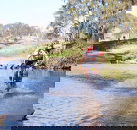 Mountain Man Tri Challenge - Mackay Tourism