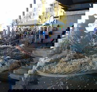 Narrabri Show - Mackay Tourism