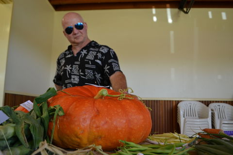 Pambula Show - Mackay Tourism 1